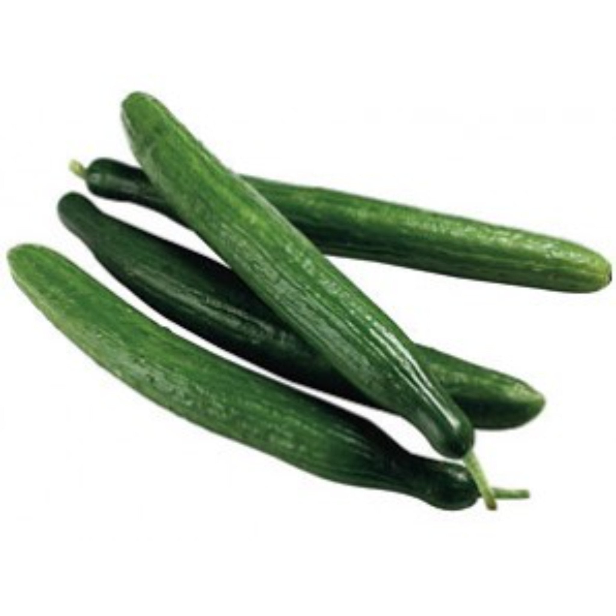 Continental Cucumbers Each Farmers Garden