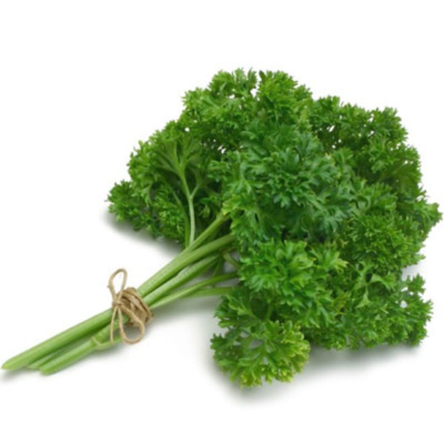 Australian Parsley Bunch