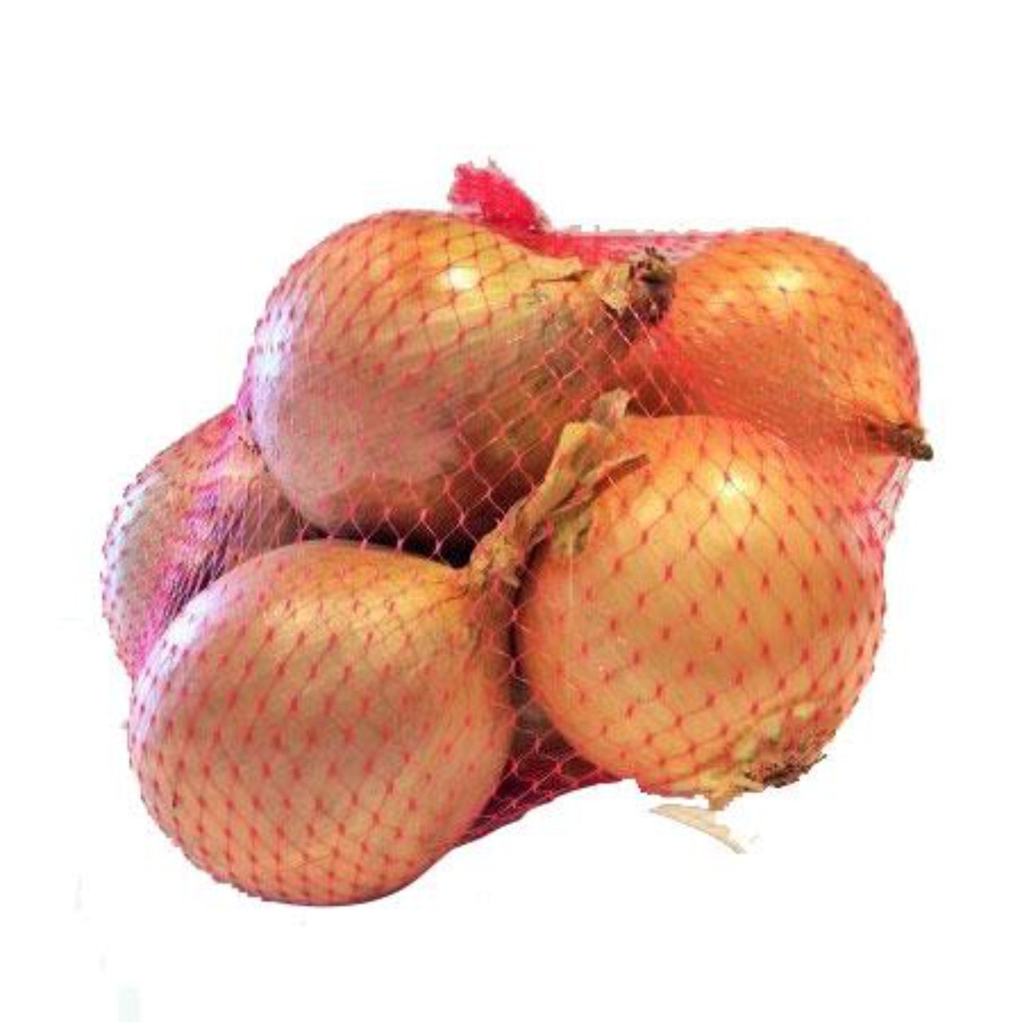 1kg Brown Onion Bag