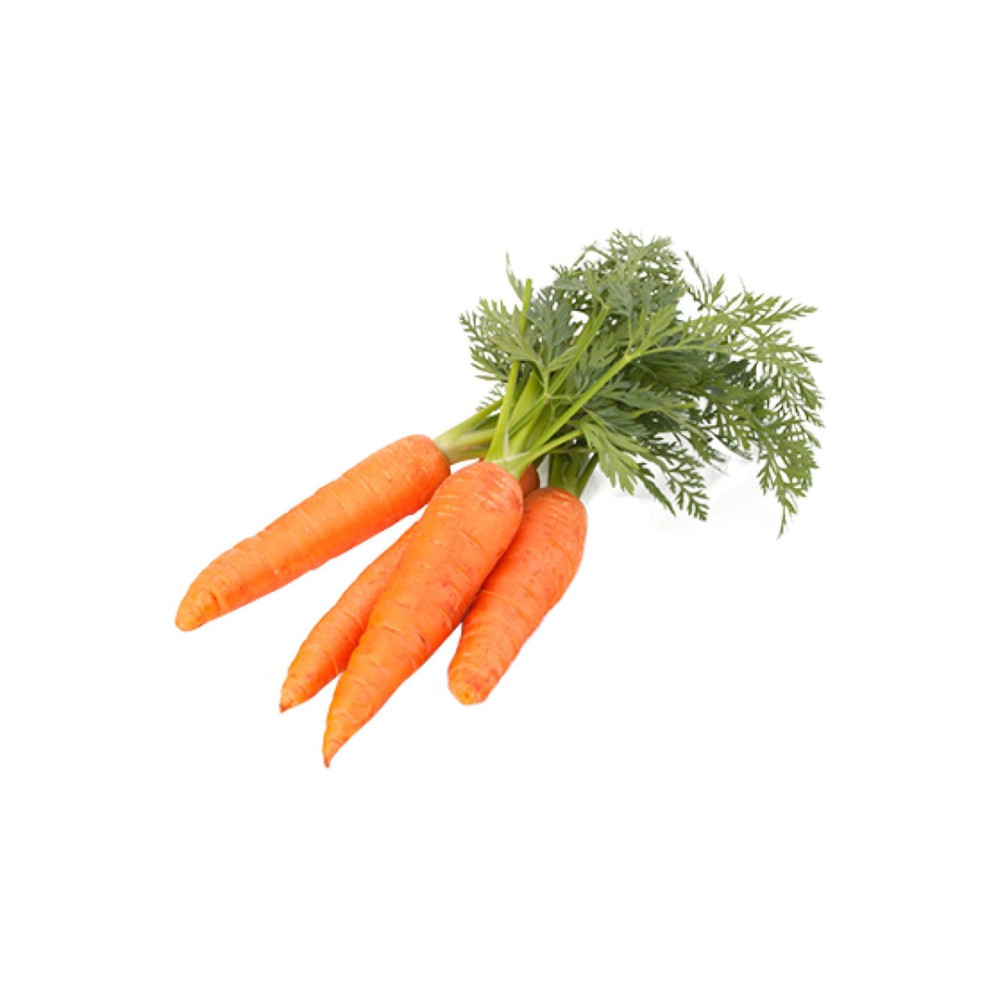 Carrot Bunch