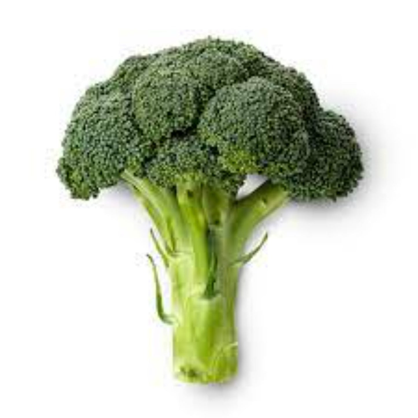 Broccoli Each