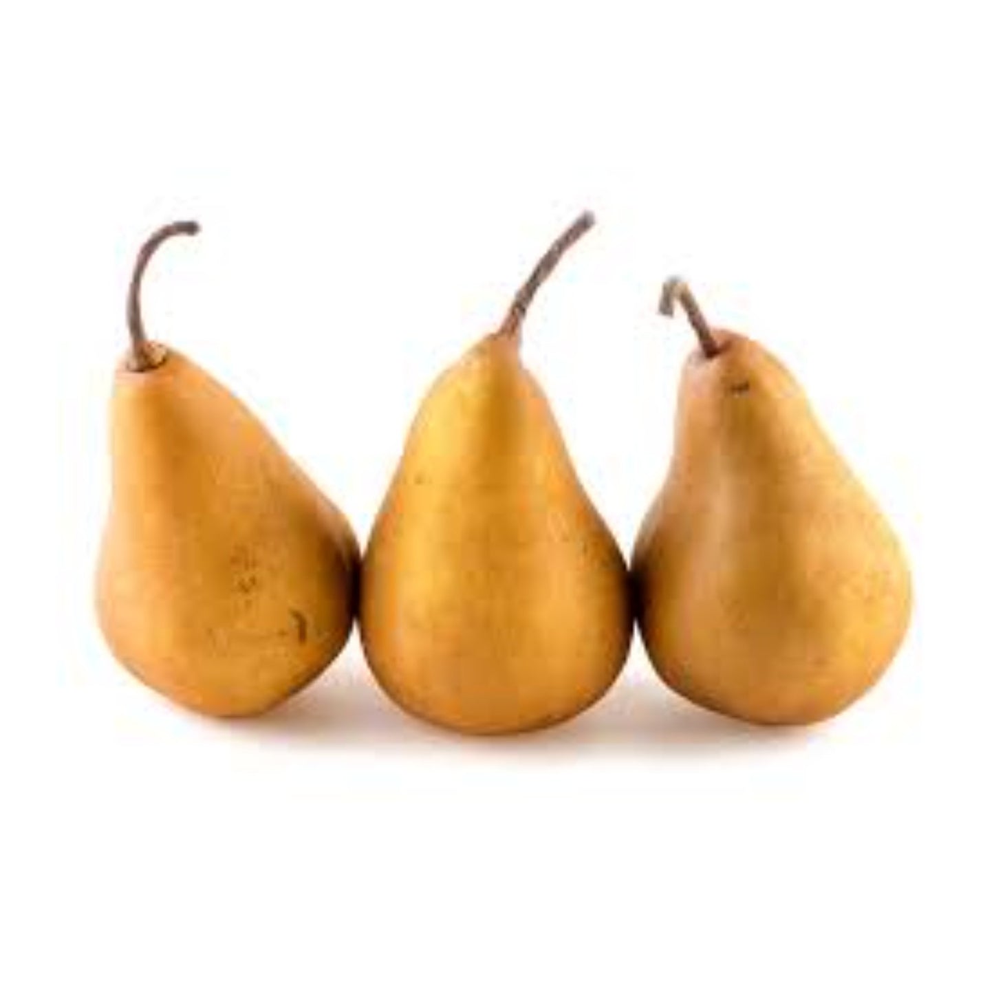 Brown Pears Each