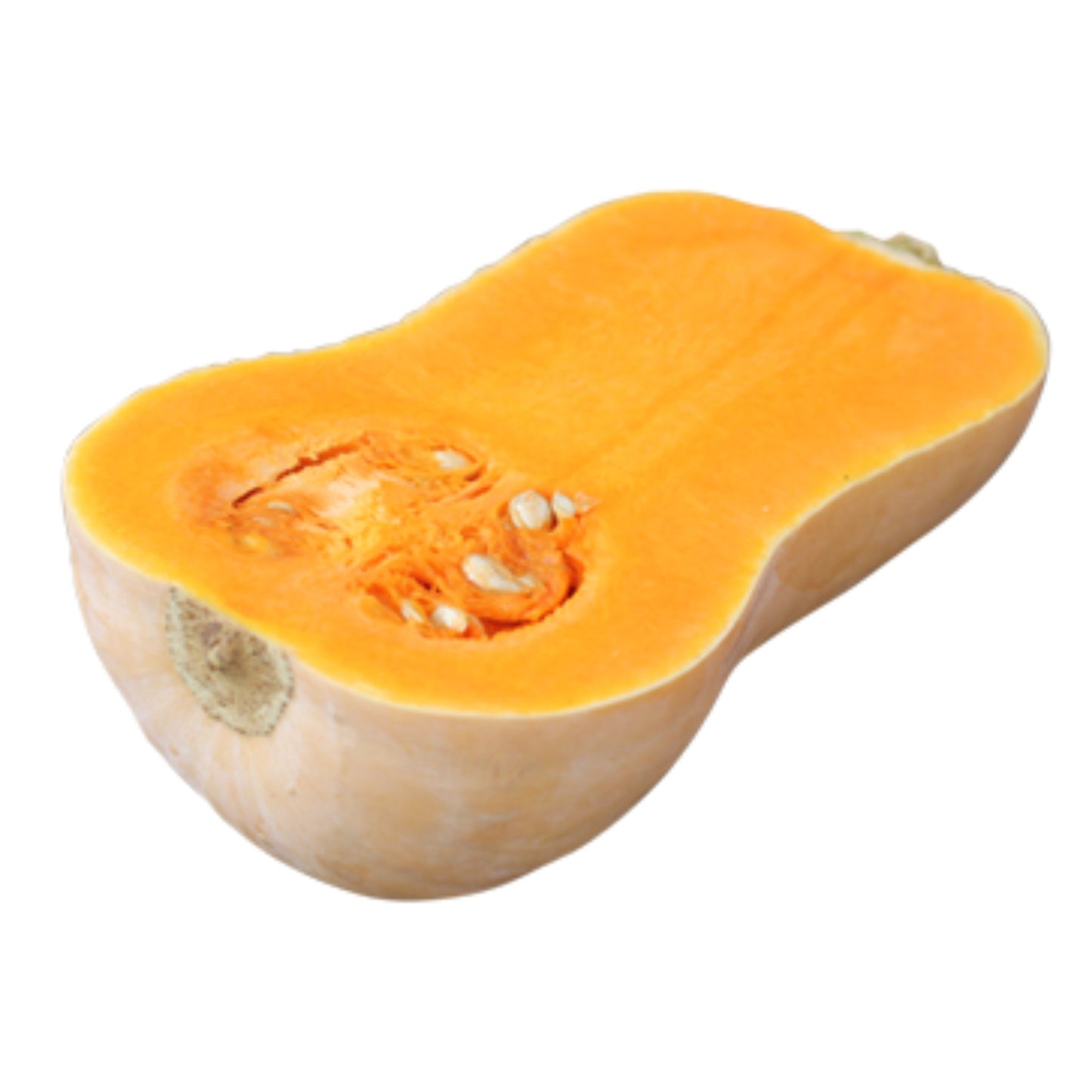 Butternut Pumpkin half