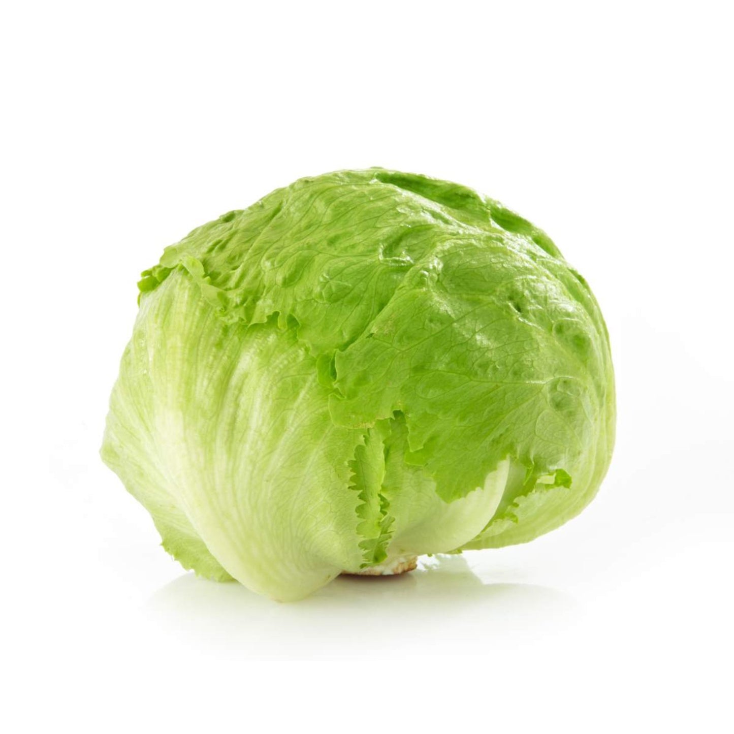 Ice Berg Lettuce Each