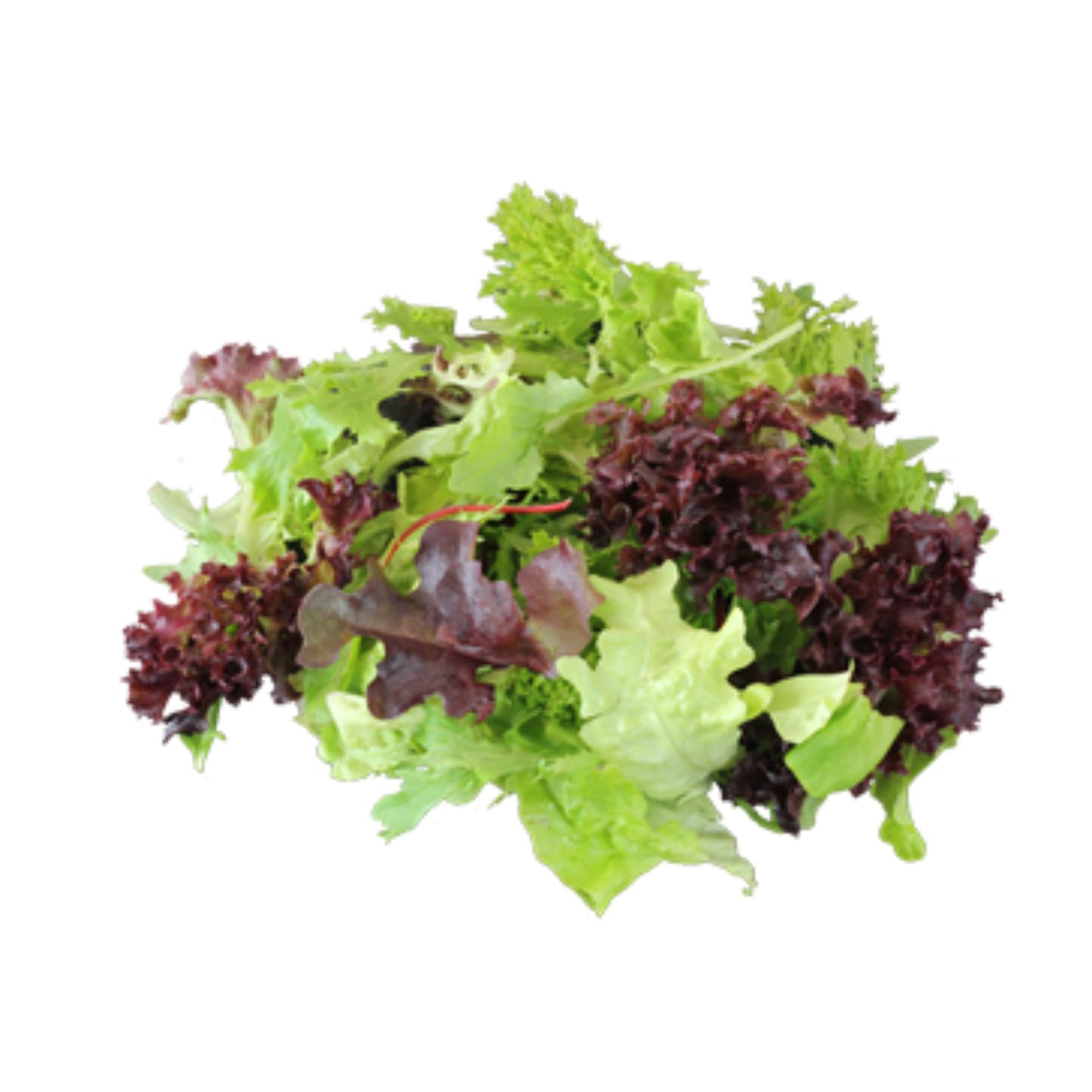 Salad mix pack 125g