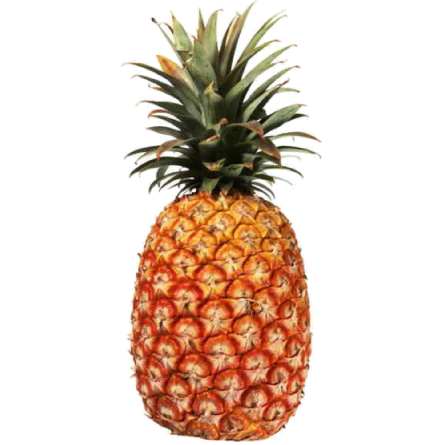 Pineapple Whole