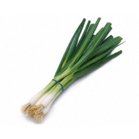 Spring Onion Bunch