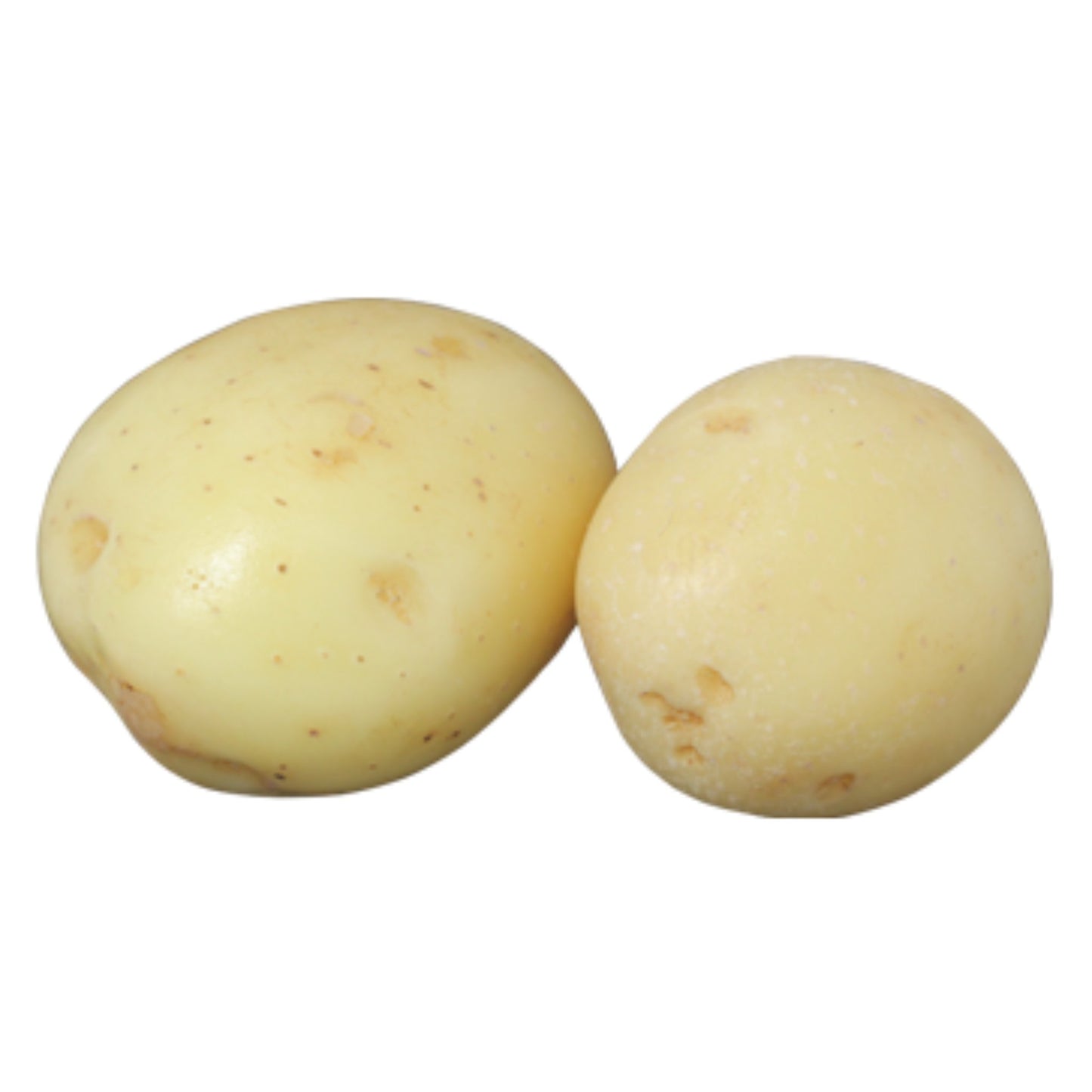 White Potato Premium Each